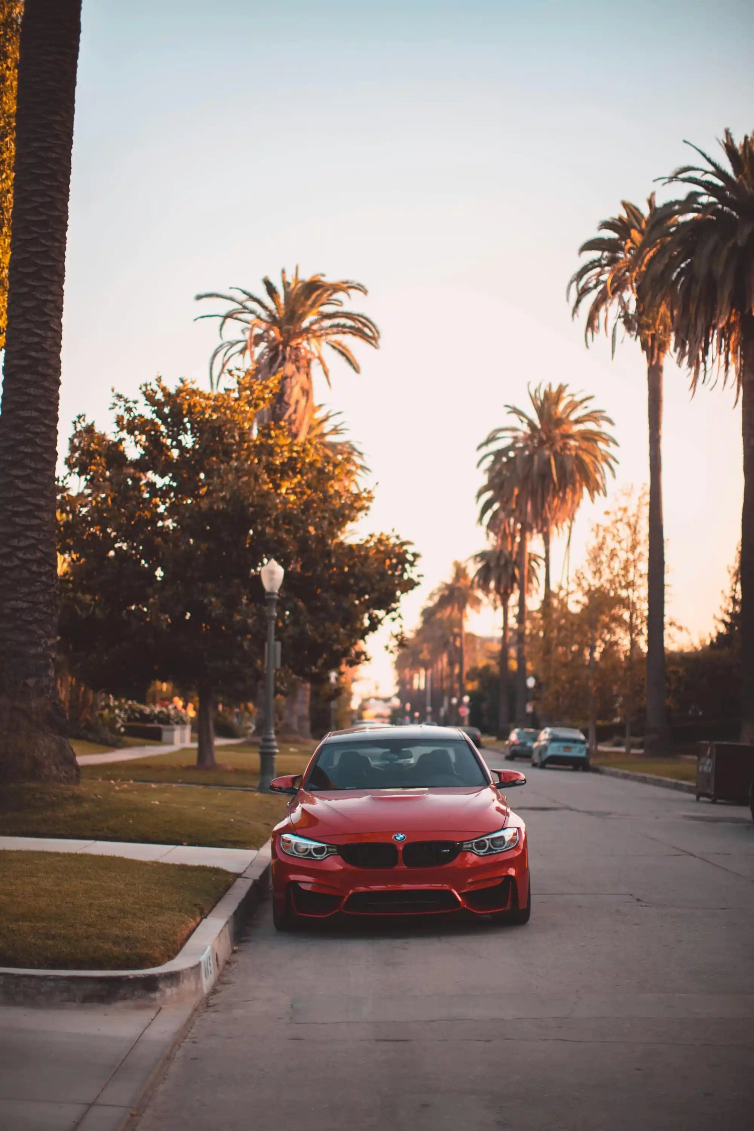 BMW 3 Series driving on a palm-lined street – premium BMW lifestyle image